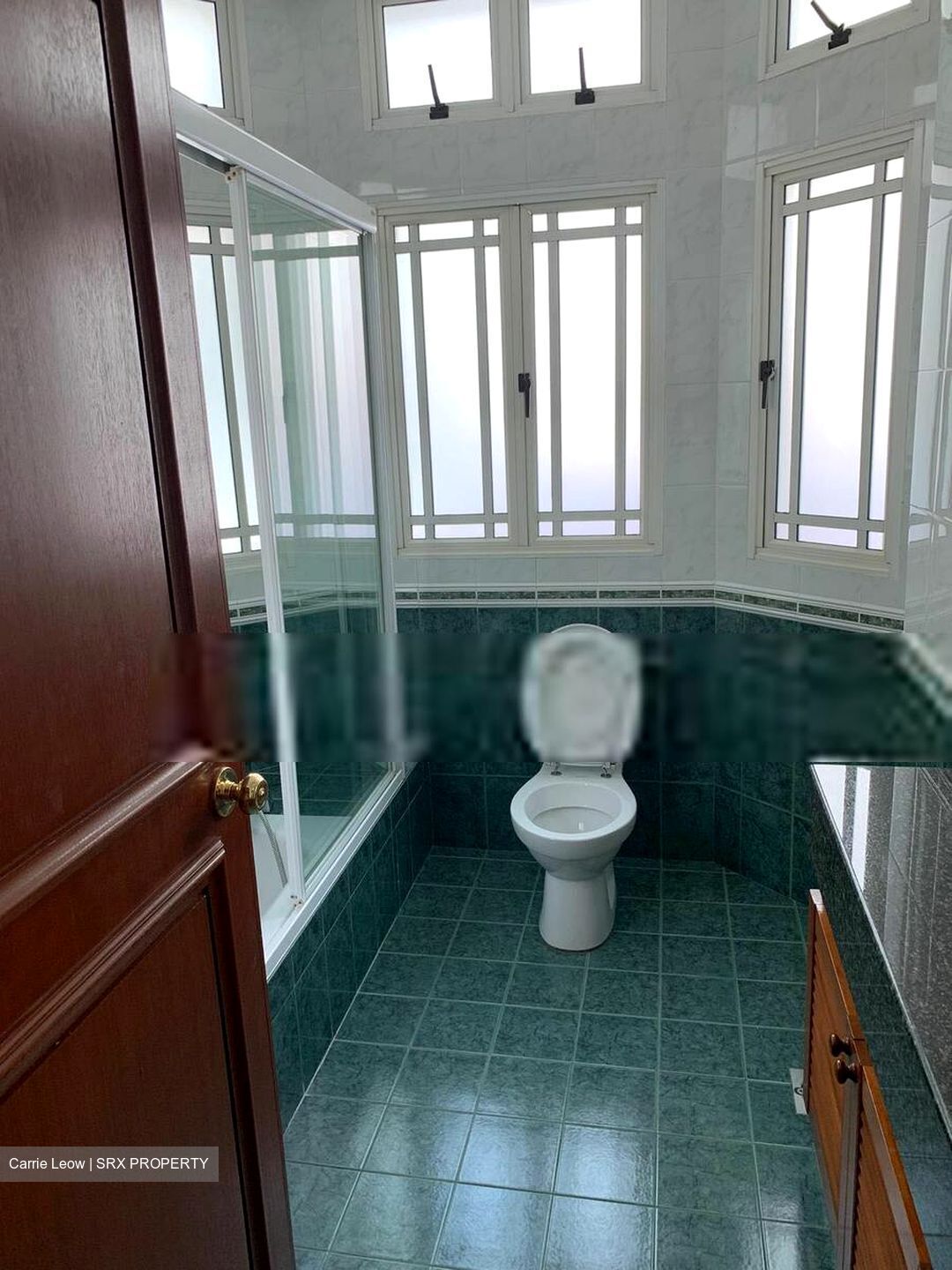 Holland Green (D10), Detached #399641631